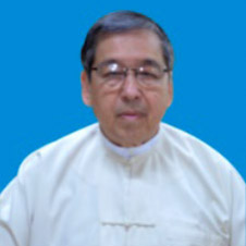 Dr.Thein Aung
